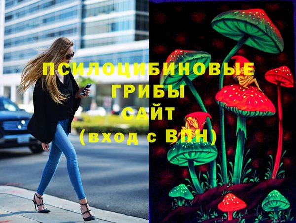 твердый Алексеевка